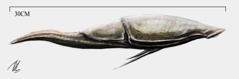 Alien Fish (sig)